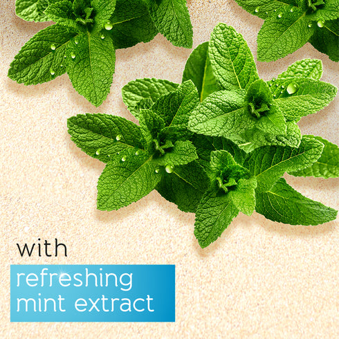 Pears Body Wash Pure & Gentle With Mint Extracts 750ML