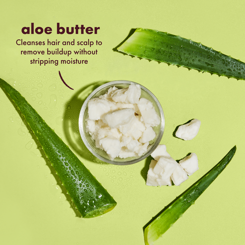 SheaMoisture Scalp Moisture Aloe Butter + Vitamin B3 Hair Shampoo 13oz