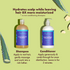 SheaMoisture Scalp Moisture Aloe Butter + Vitamin B3 Hair Shampoo 13oz