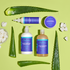 SheaMoisture Scalp Moisture Aloe Butter + Vitamin B3 Hair Shampoo 13oz