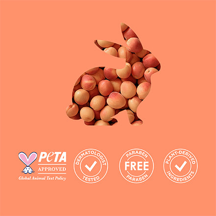 ST IVES FACE CARE EXFOLIATING TONER APRICOT 6.7OZ