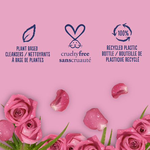 St. Ives Body Wash Rose & Aloe Vera 22oz